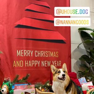 日式門簾設計26